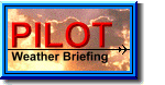 Pilot Weather Briefing logo